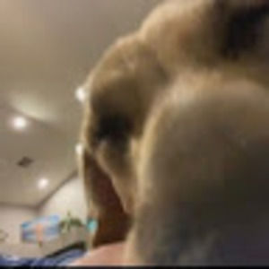 Meet your Posher, Baconburritoman